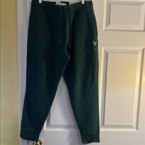 American Eagle Outfitters Dark Green Joggers